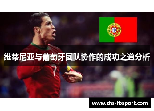 维蒂尼亚与葡萄牙团队协作的成功之道分析 维蒂尼亚与葡萄牙团队协作的成功之道分析