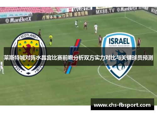 莱斯特城对阵水晶宫比赛前瞻分析双方实力对比与关键球员预测 莱斯特城对阵水晶宫比赛前瞻分析双方实力对比与关键球员预测