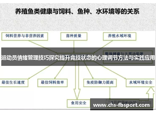 运动员情绪管理技巧探究提升竞技状态的心理调节方法与实践应用 运动员情绪管理技巧探究提升竞技状态的心理调节方法与实践应用