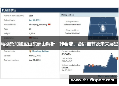 马德鲁加加盟山东泰山解析：转会费、合同细节及未来展望