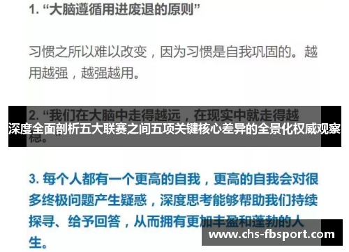 深度全面剖析五大联赛之间五项关键核心差异的全景化权威观察