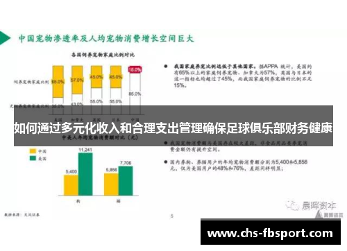 如何通过多元化收入和合理支出管理确保足球俱乐部财务健康 如何通过多元化收入和合理支出管理确保足球俱乐部财务健康