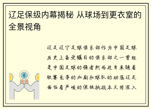 辽足保级内幕揭秘 从球场到更衣室的全景视角 辽足保级内幕揭秘 从球场到更衣室的全景视角